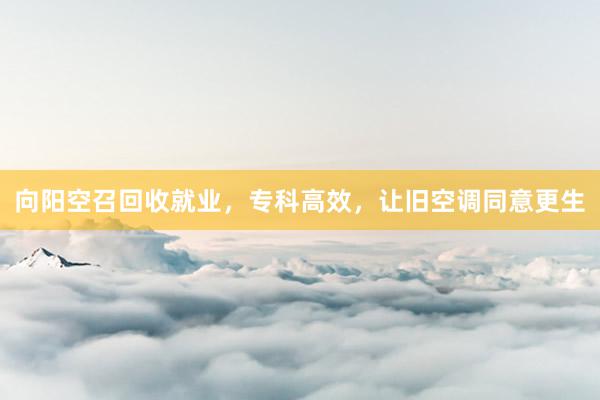 向阳空召回收就业，专科高效，让旧空调同意更生